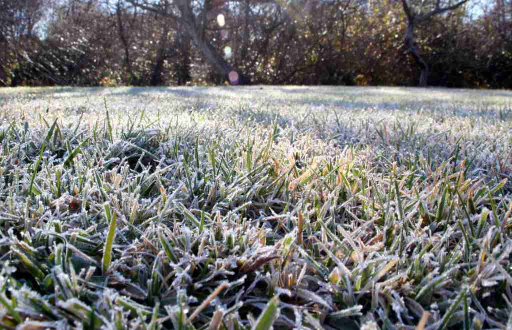 snow removal services
